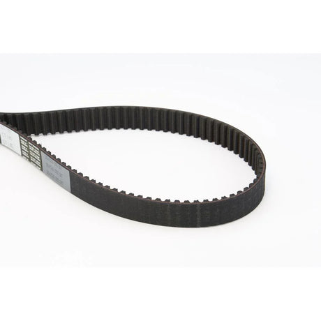 BELTPIC_CT1105_jpg