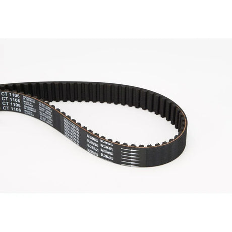 BELTPIC_CT1106_jpg