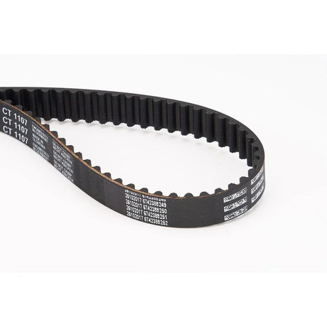 BELTPIC_CT1107_jpg
