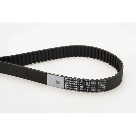 BELTPIC_CT1134_jpg