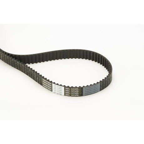 BELTPIC_CT1162_jpg