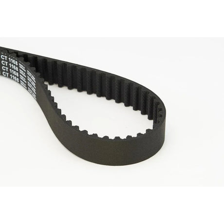 BELTPIC_CT1168_jpg