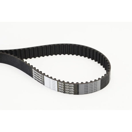 BELTPIC_CT1244_jpg