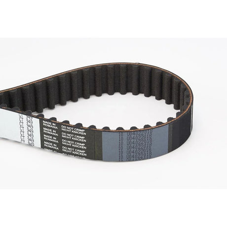 BELTPIC_CT949_jpg
