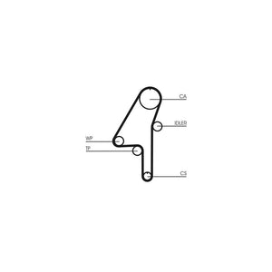 Conti - curea distributie Continental Ctam CT1010