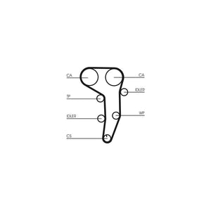 Conti - curea distributie Continental Ctam CT1051
