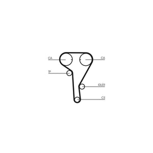 Conti - curea distributie Continental Ctam CT1077
