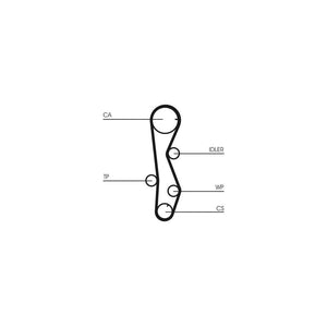 Conti - curea distributie Continental Ctam CT1099