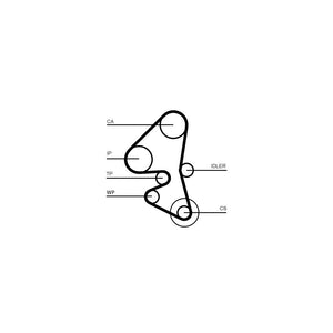 Conti - curea distributie Continental Ctam CT1162