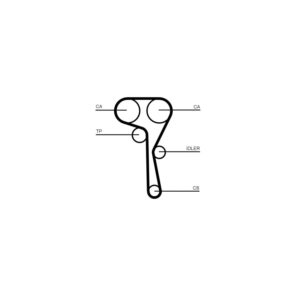 Conti - curea distributie Continental Ctam CT1167