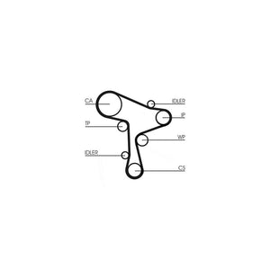Conti - curea distributie Continental Ctam CT1168