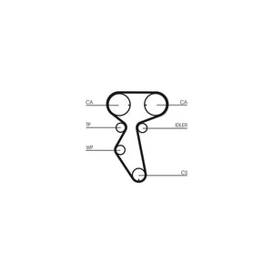 Conti - curea distributie Continental Ctam CT887