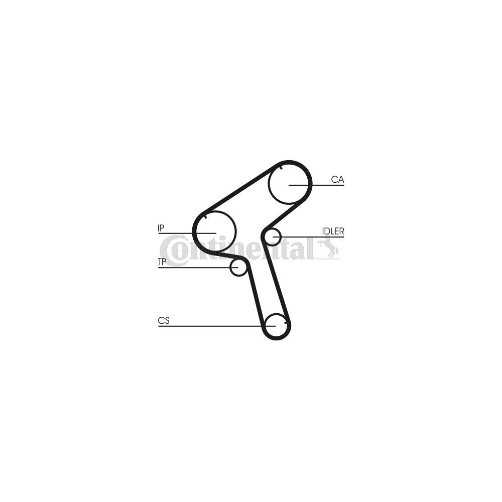 Conti - curea distributie Continental Ctam CT917