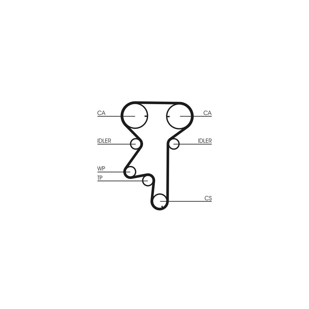 Conti - curea distributie Continental Ctam CT975