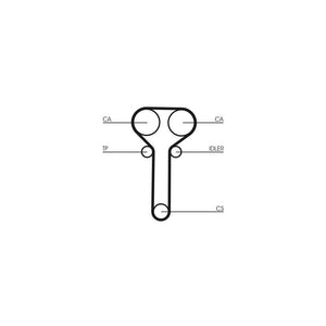 Kit distributie Continental Ctam CT978K1