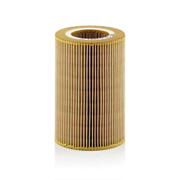 Filtru aer Mann-filter C 1041
