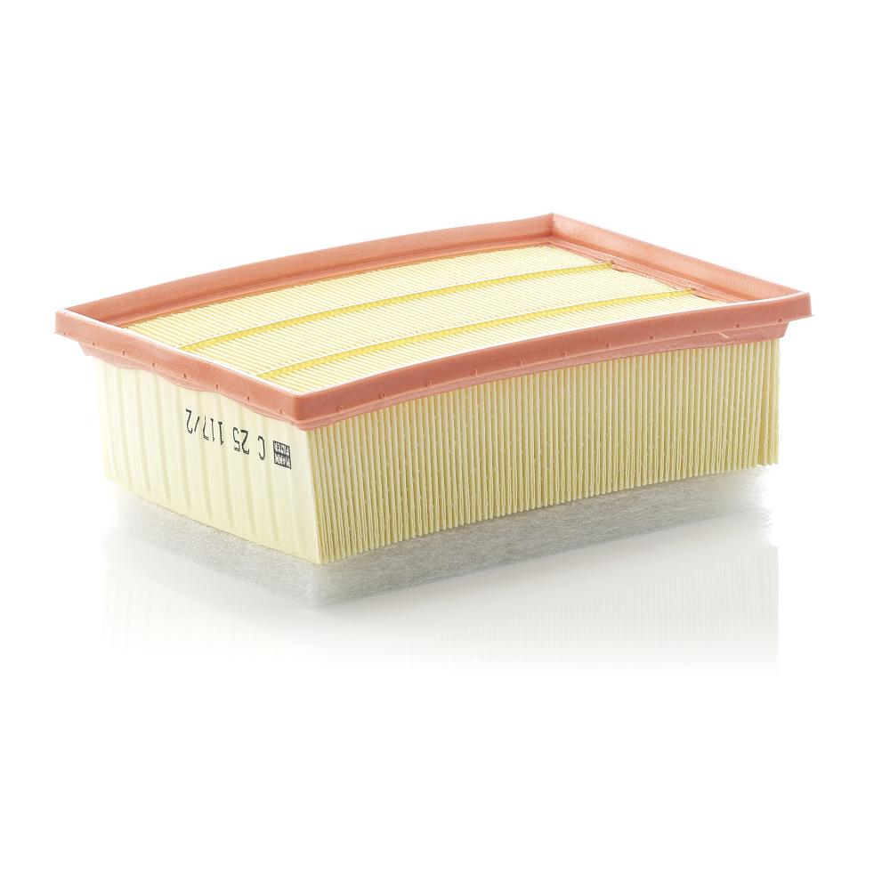 Filtru aer Mann-filter C 25 117/2