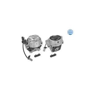 Suport motor Meyle 100 199 3200/S