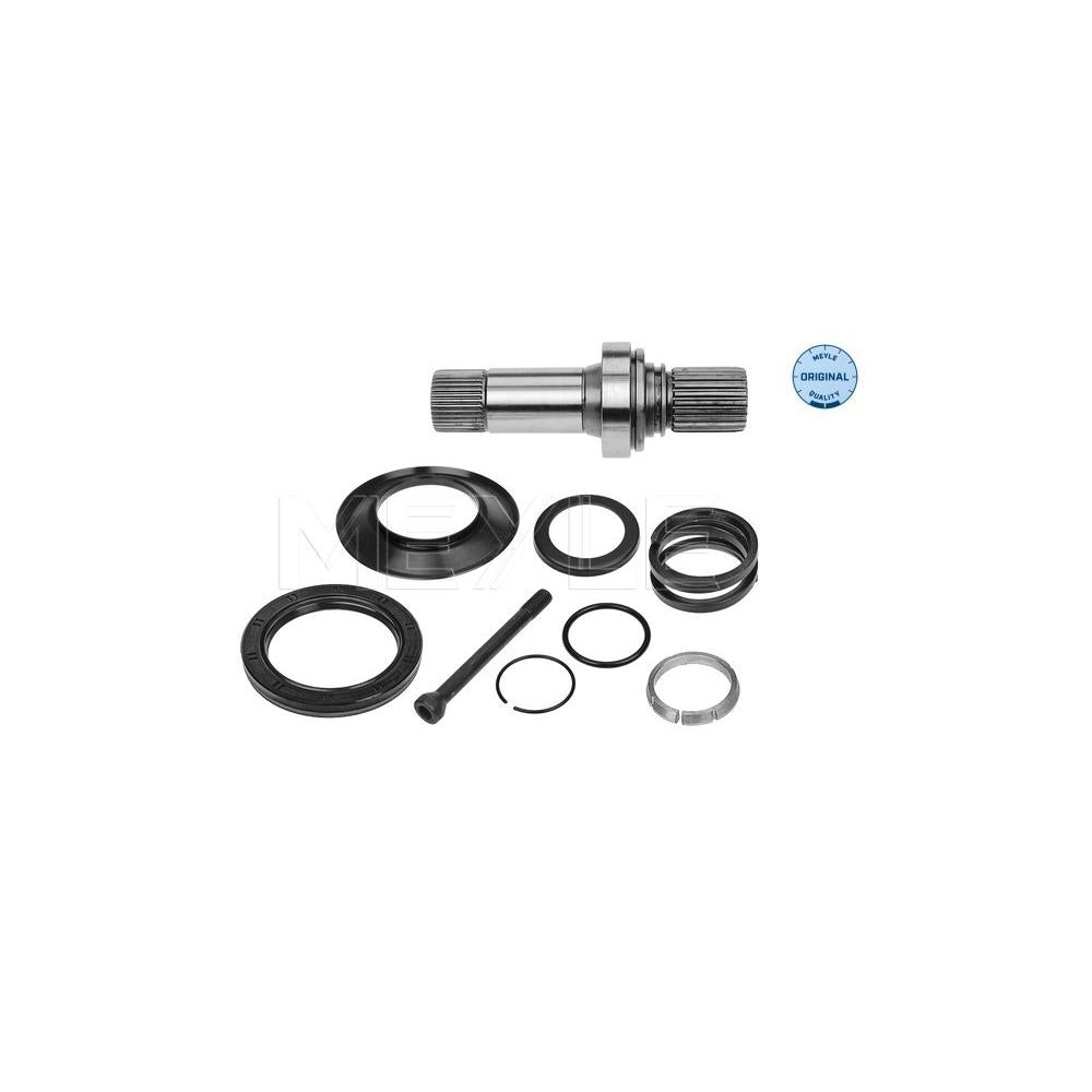 Arbore diferential Meyle 100 498 0248