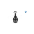Pivot suspensie Meyle 116 010 0019