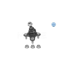Pivot suspensie Meyle 116 010 0033