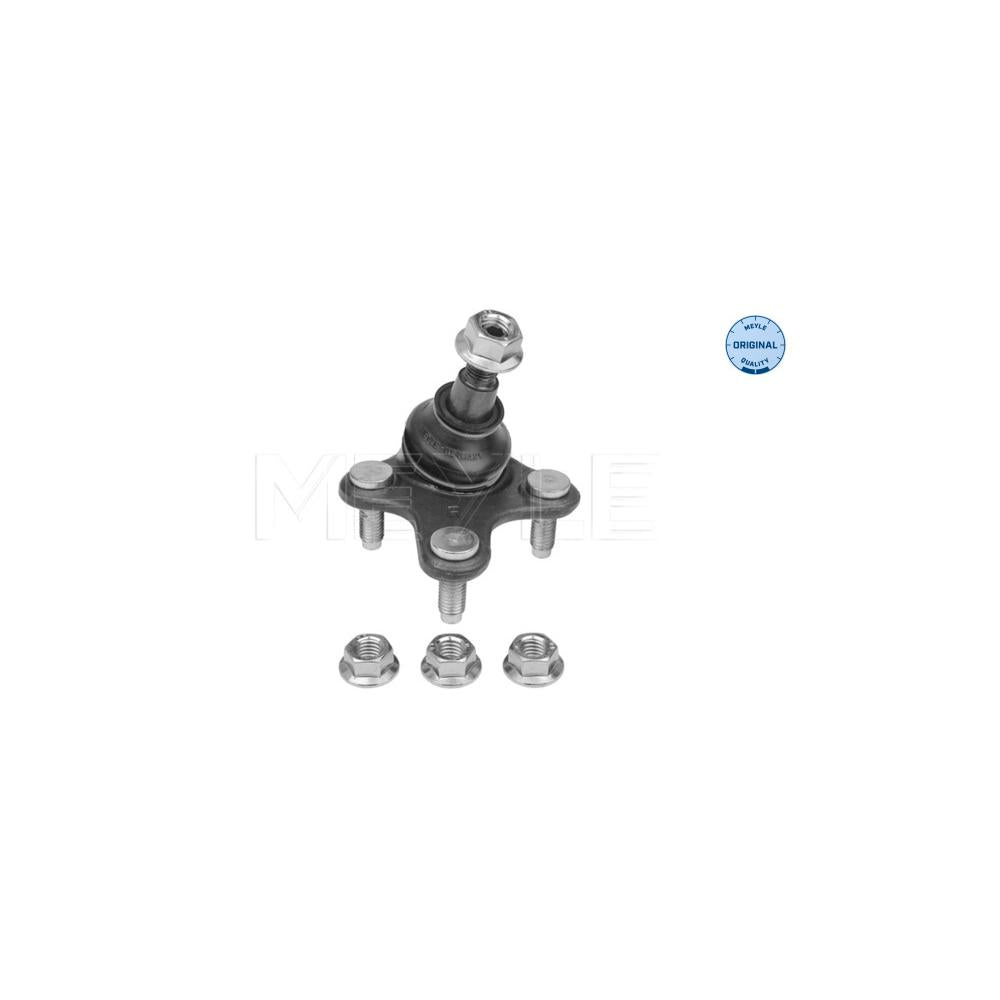 Pivot suspensie Meyle 116 010 0034
