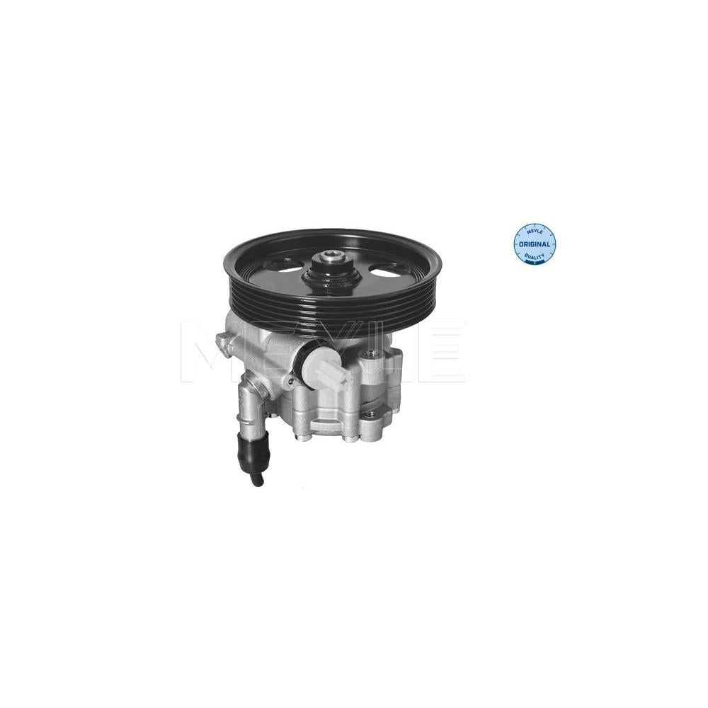 Pompa servodirectie Meyle 16-14 631 0005