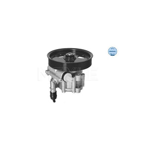 Pompa servodirectie Meyle 16-14 631 0005