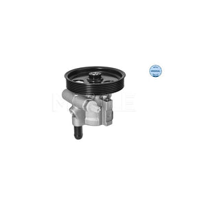 Pompa servodirectie Meyle 16-14 631 0006