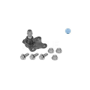 Pivot suspensie Meyle 16-16 010 0035