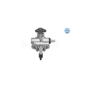 Pompa servodirectie Meyle 16-16 631 0001