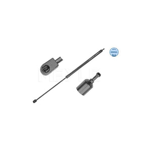 Amortizor capota Meyle 16-40 910 0035
