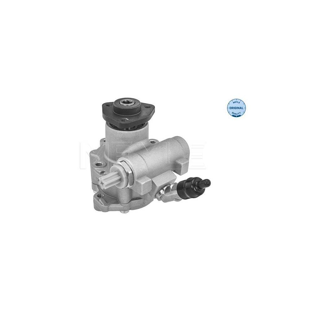 Pompa servodirectie Meyle 314 631 0029