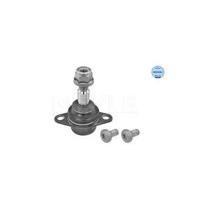 Pivot suspensie Meyle 316 010 0017