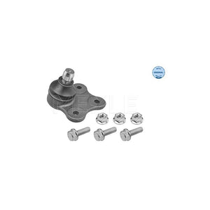 Pivot suspensie Meyle 616 010 0006