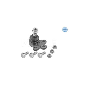Pivot suspensie Meyle 616 010 0008