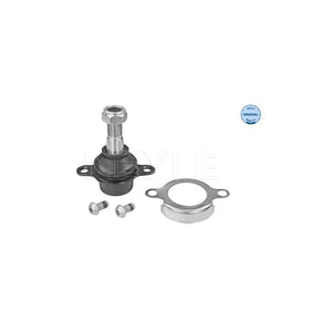 Pivot suspensie Meyle 716 010 0025