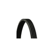 Conti -curea transmisie canelata Continental Ctam 4PK755