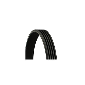 Conti - curea transmisie canelata Continental Ctam 5PK1800