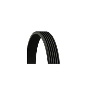 Conti -curea transmisie canelata Continental Ctam 6PK2196