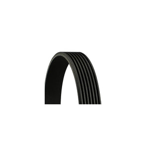 Conti -curea transmisie canelata Continental Ctam 7PK2875