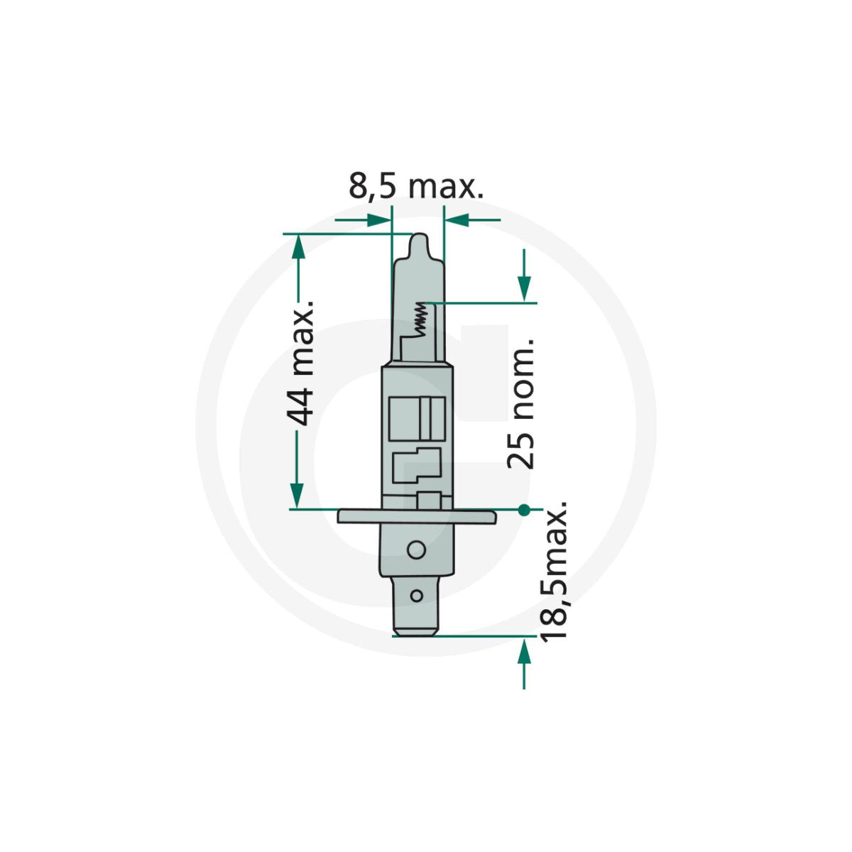 Bec halogen H1