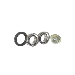 Kit rulment roata SKF VKBA 3666