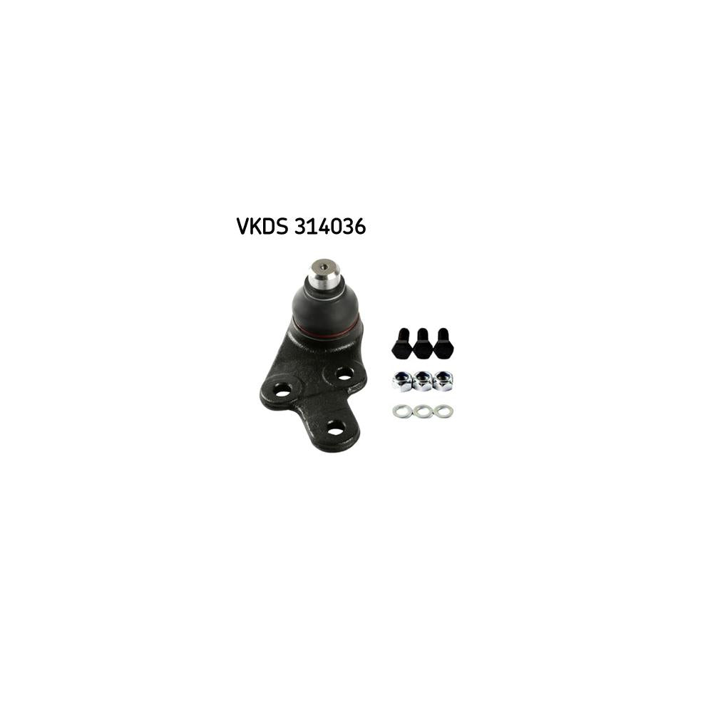 VKDS_20314036_jpg