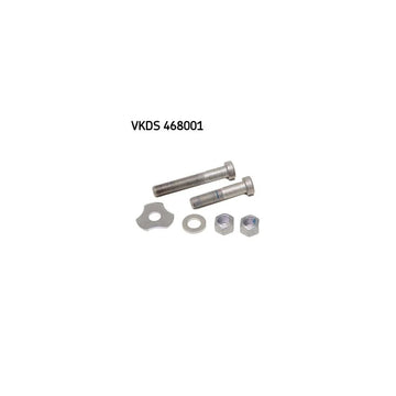 Set reparatie suspensie spate SKF VKDS 468001