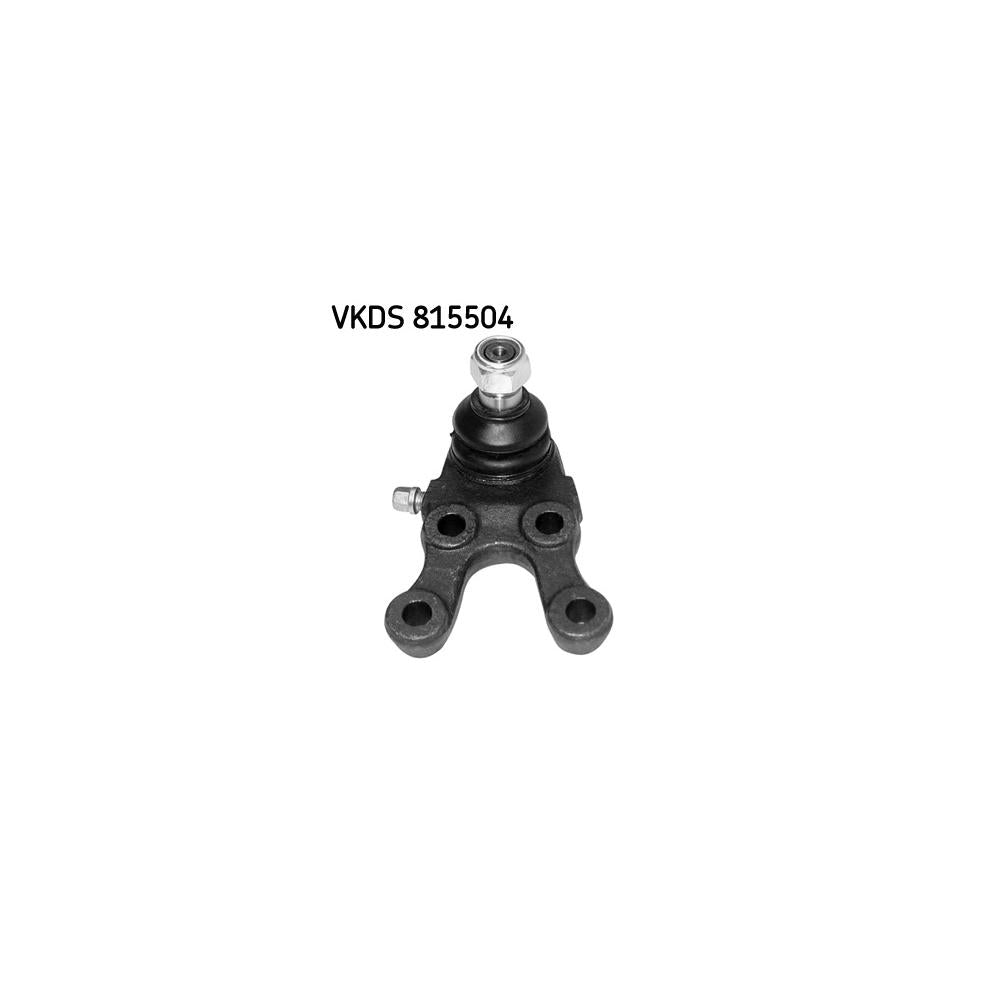 VKDS_20815504_jpg