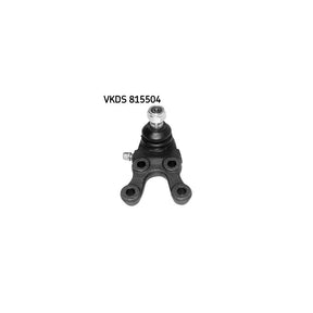 VKDS_20815504_jpg
