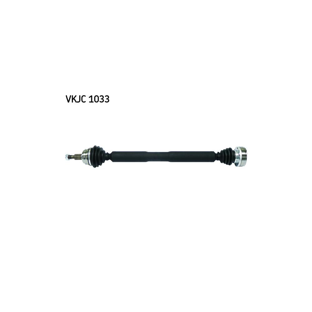 VKJC_201033_jpg