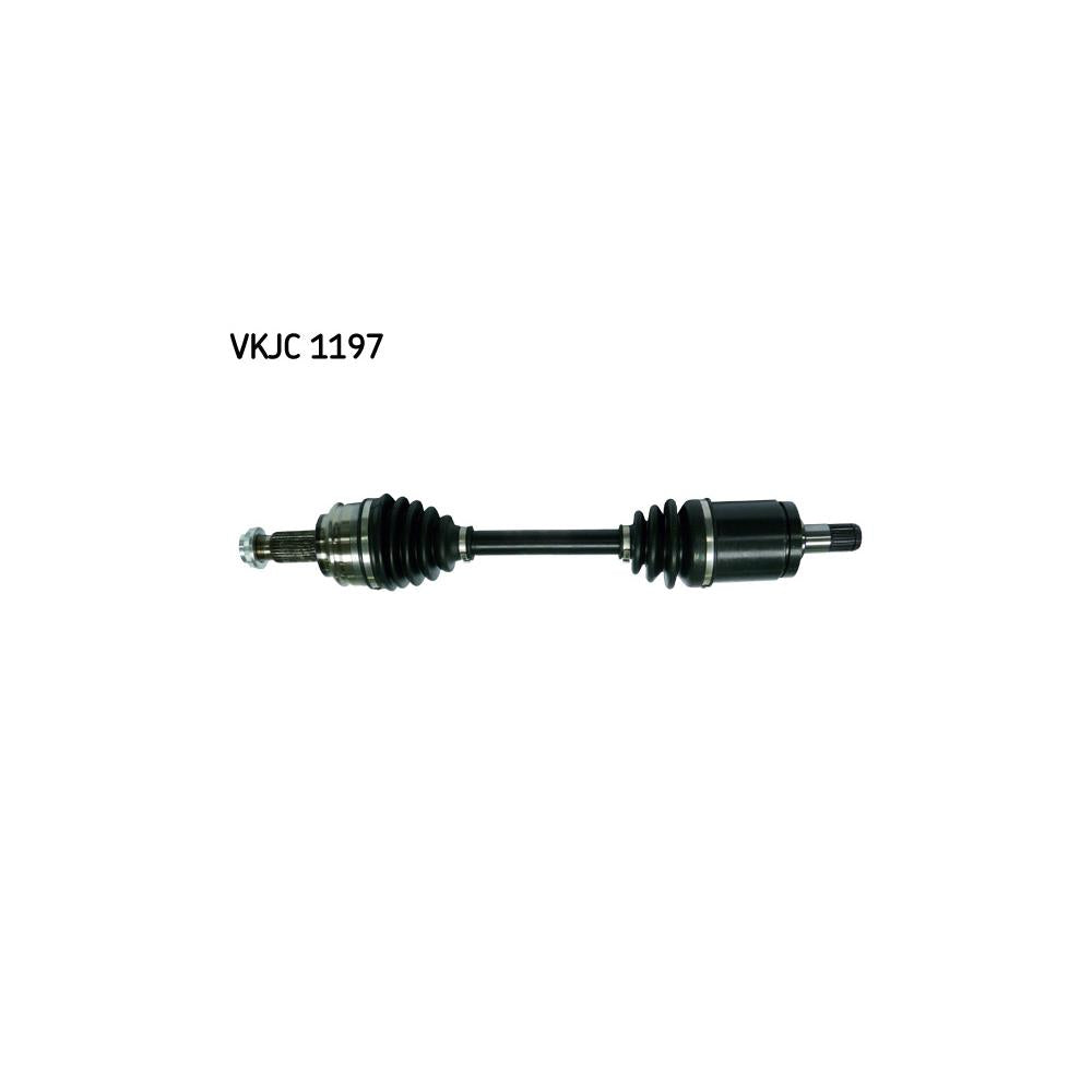 VKJC_201197_jpg