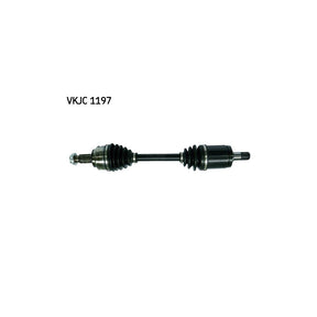 VKJC_201197_jpg